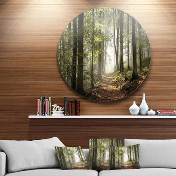 Green Fall Forest with Sun Rays - Landscape Photography Circle Metal Wall Decor